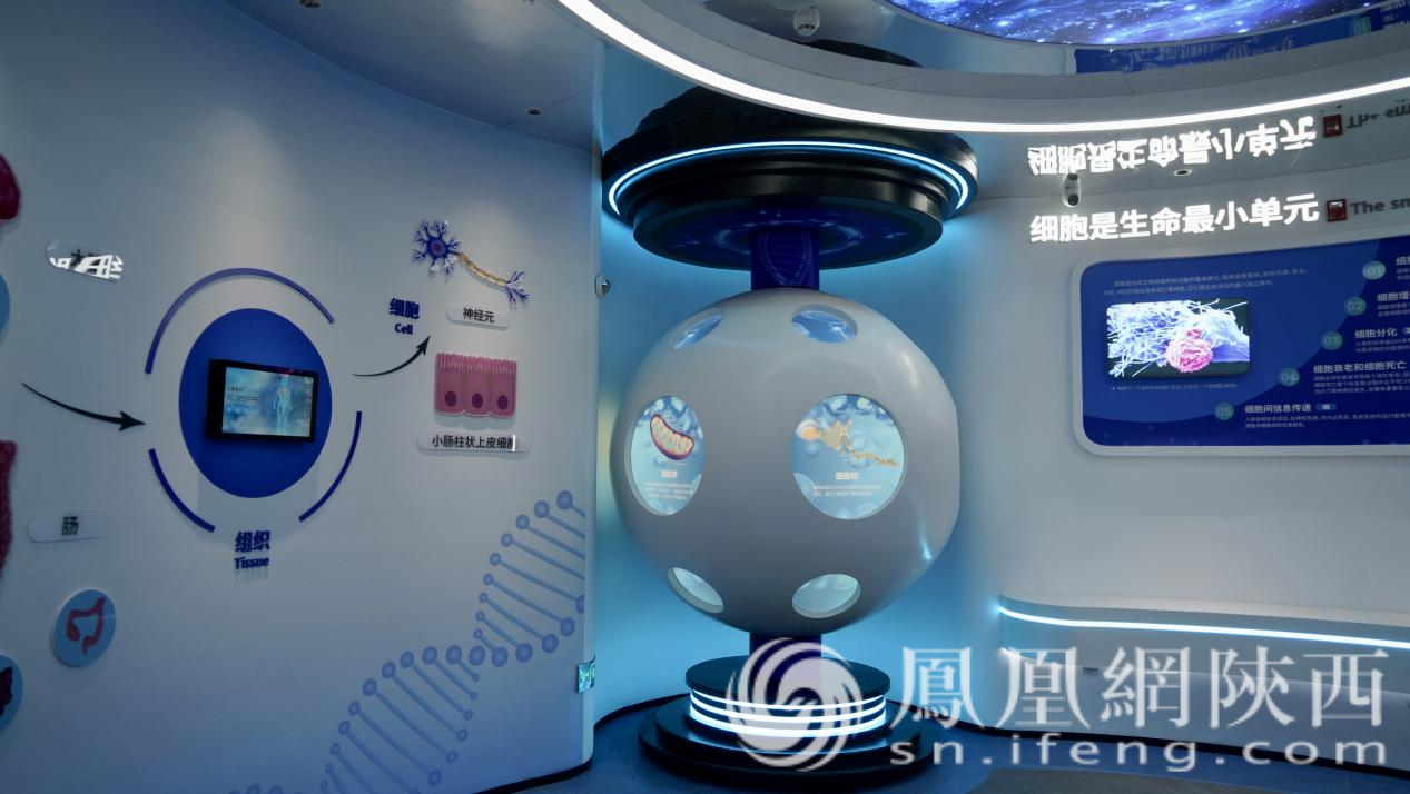 寶雞再生醫學中心與渭濱區科技館同步投用