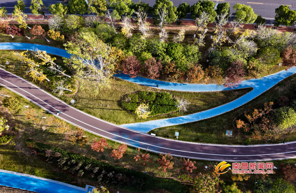 南昌：冬日暖阳（图）