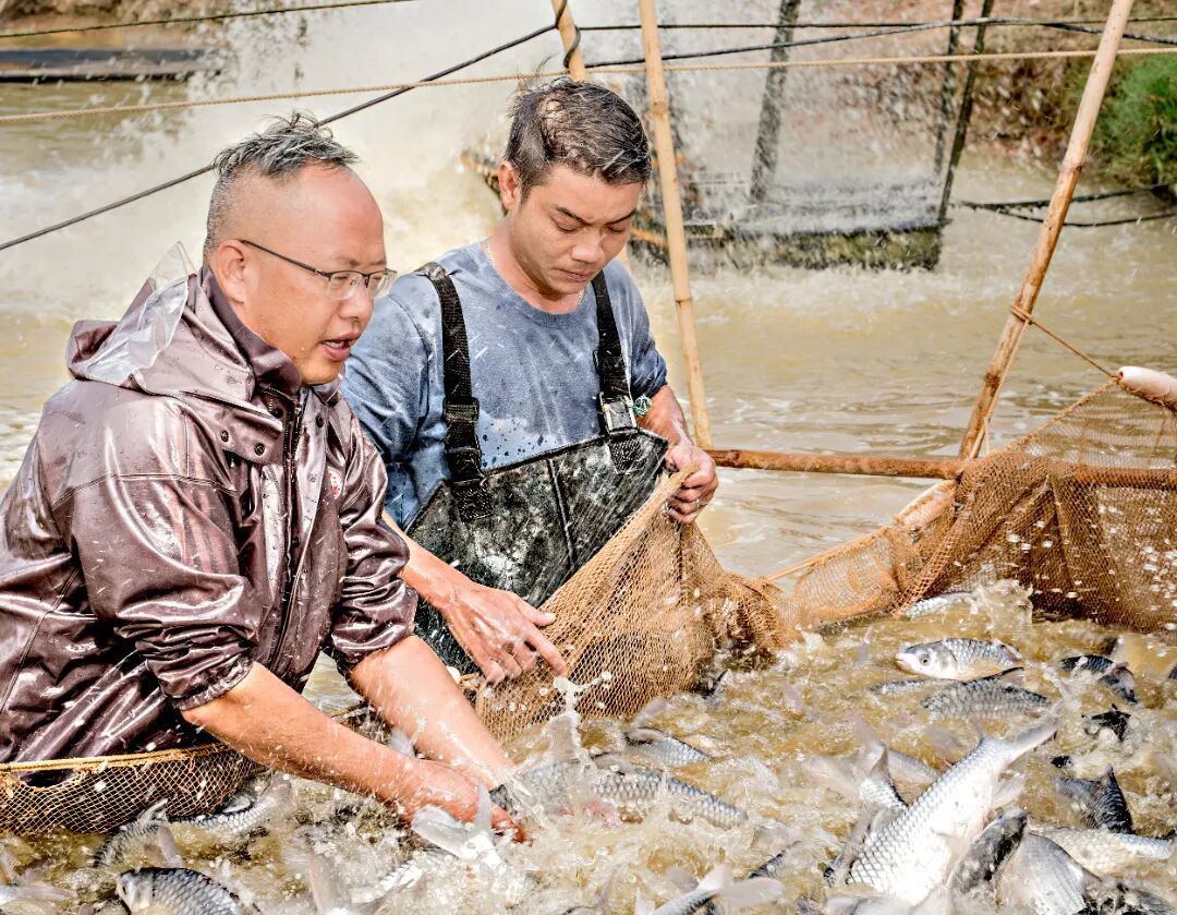 何忠杰（左一）查看鱼苗情况
