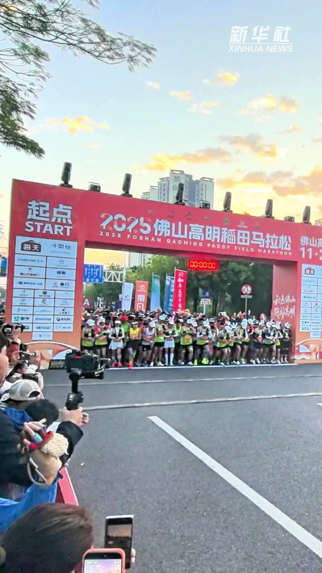 2025佛山高明稻田马拉松举办