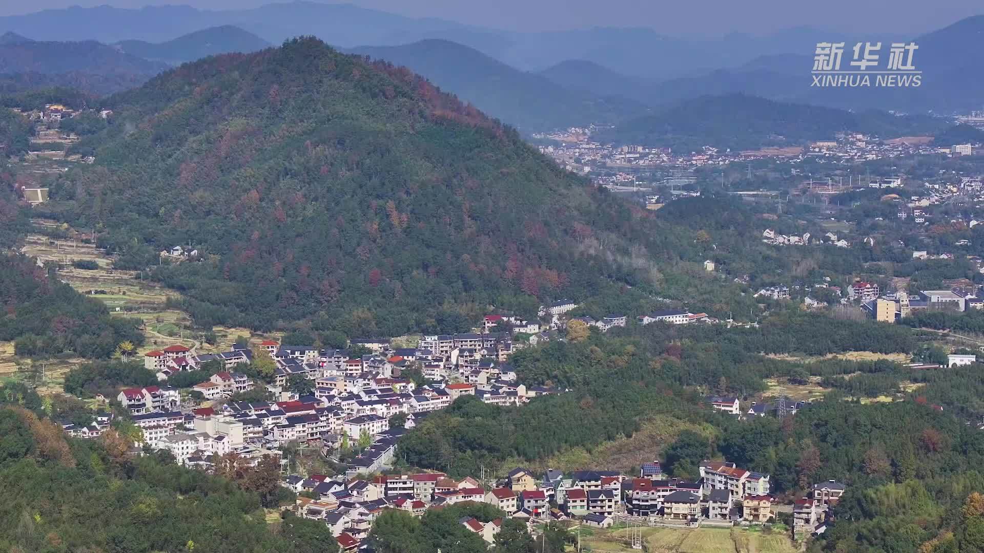 杭州桐庐：初冬畲乡入画来