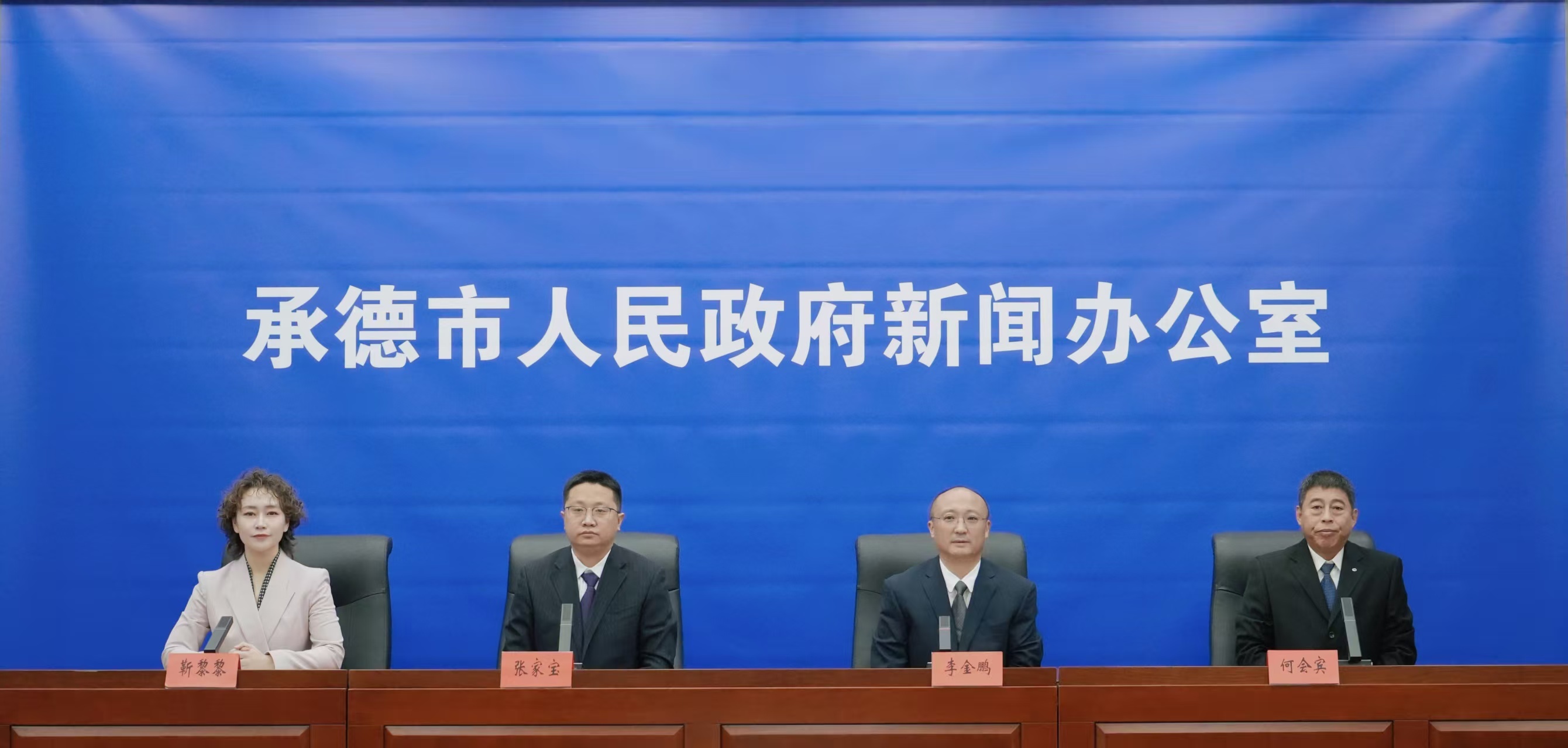 发布会 王占平摄