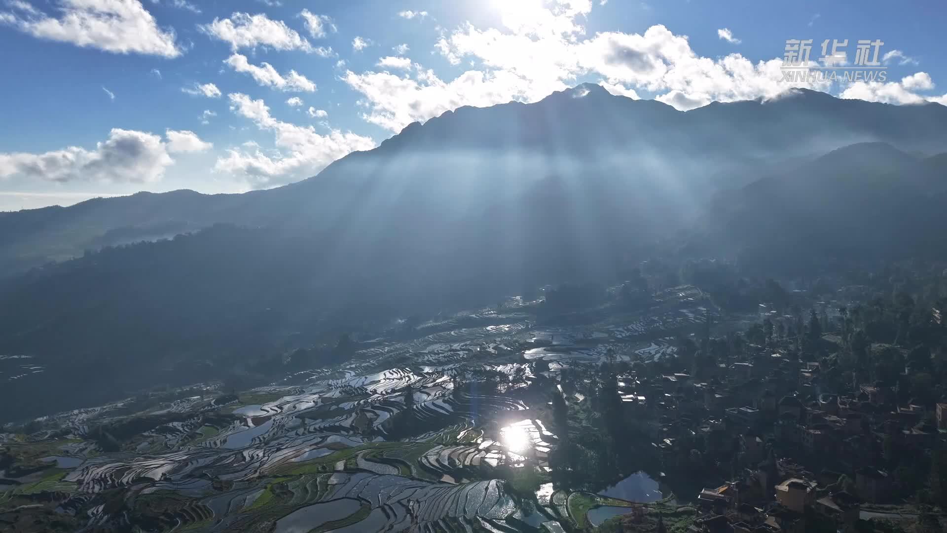 云南红河哈尼梯田进入最佳观赏期