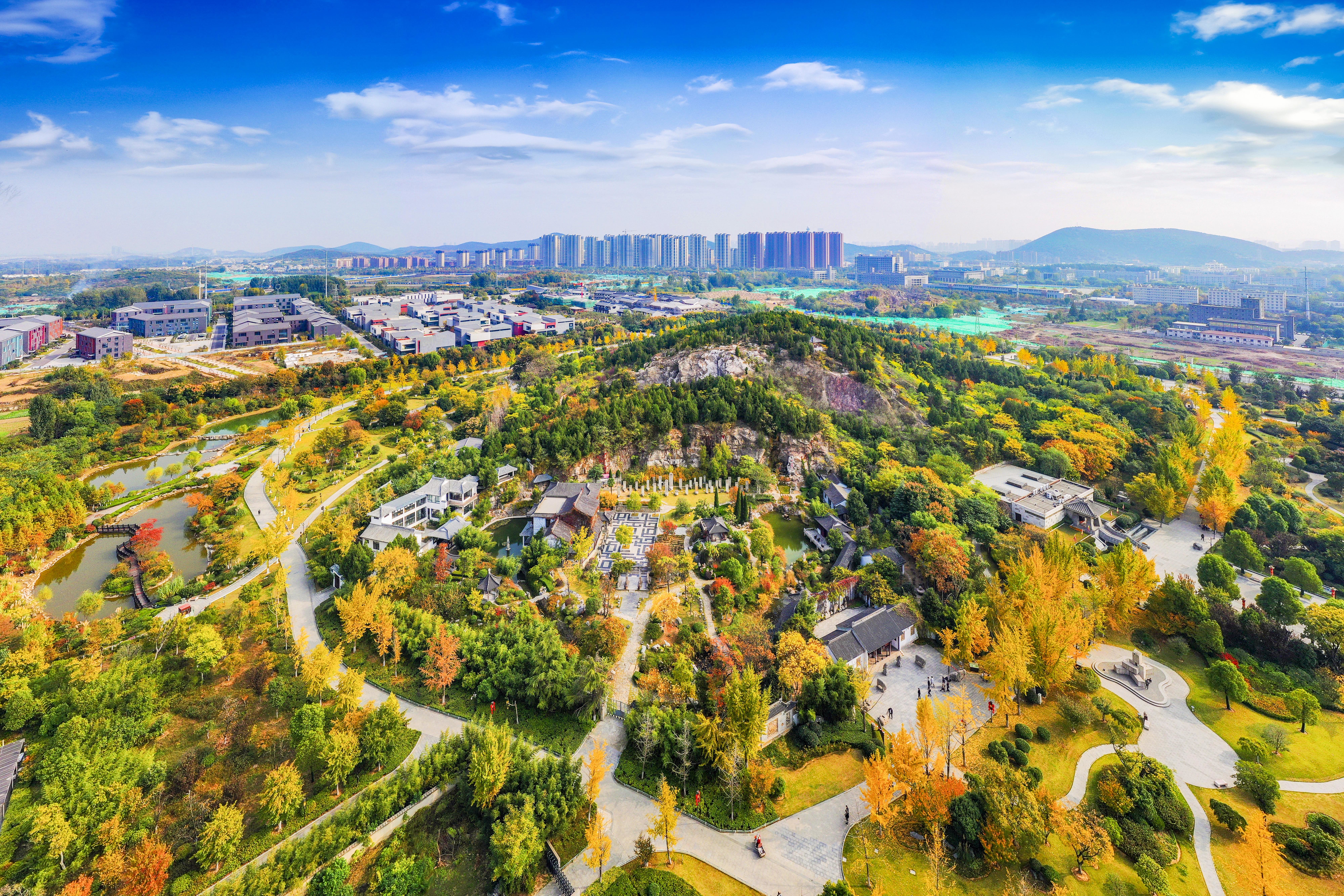 文脉里的新鼓楼：一曲“弦歌不辍”的时代和鸣