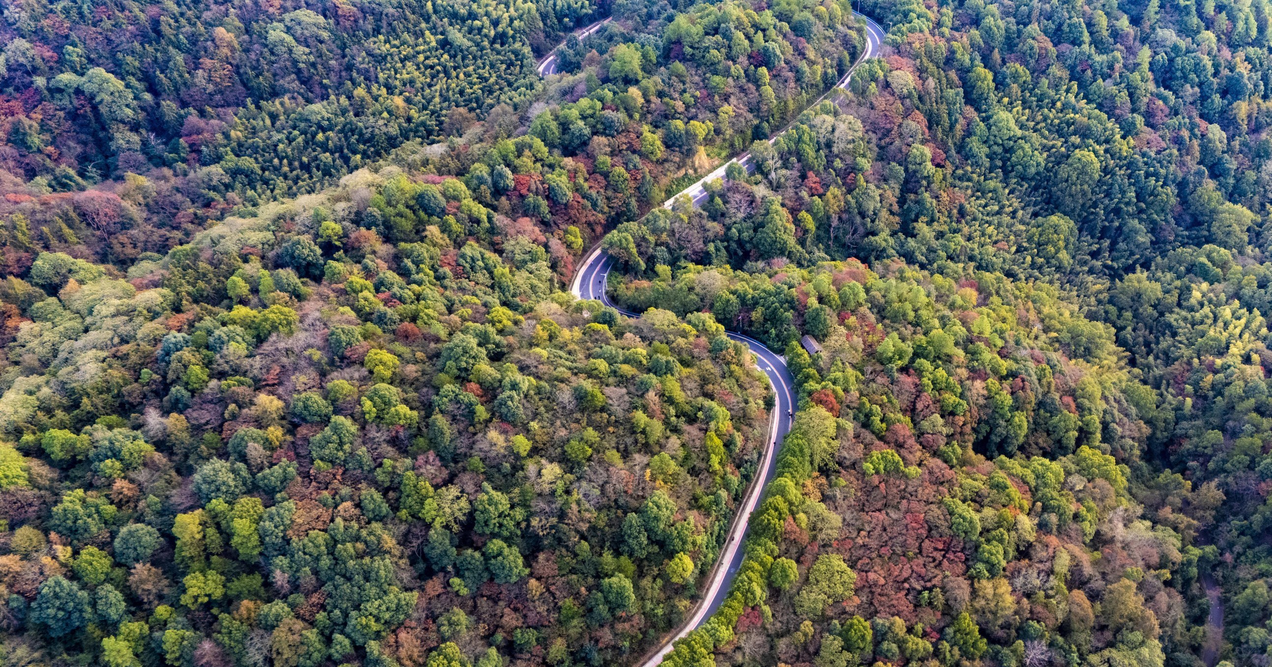 新余仰天岗森林公园迎来最美观赏季（图）