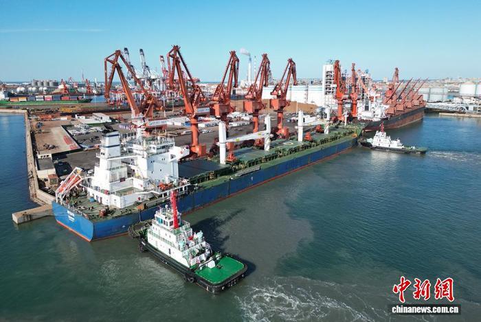 图为“娜迪娅”轮在山东港口烟台港龙口港区卸船。桑少政 摄