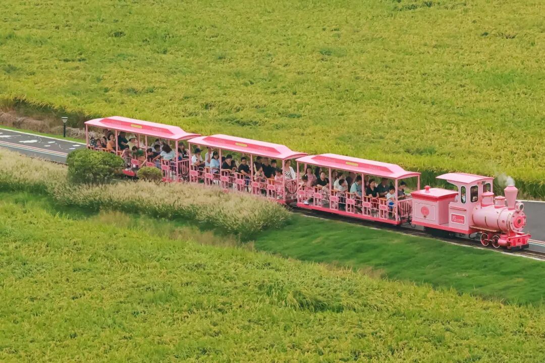 吸引国际巨头13次“加仓”，为什么是太仓？