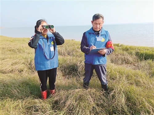 “鄱湖人”段庆县：十四载坚守为候鸟护家园