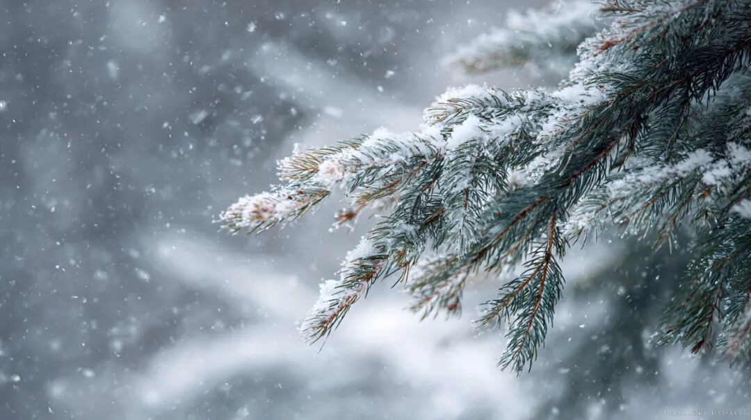 5000年前解锁“供暖系统”的甘肃人 过冬秘诀是……