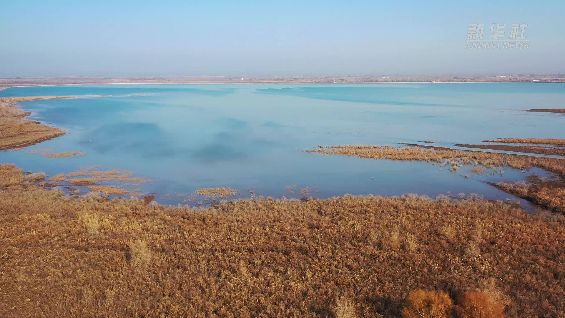 千城胜景｜新疆呼图壁县：碧波映金林 万鸟恋湖光