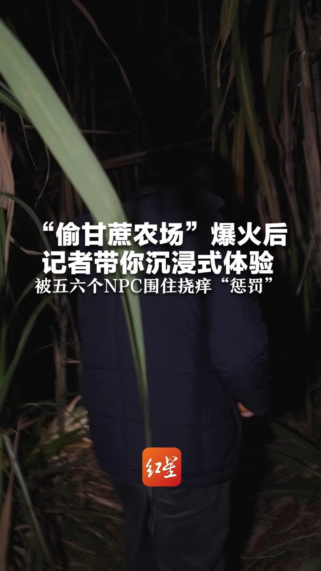 “偷甘蔗农场”爆火后 记者带你沉浸式体验 黑灯瞎火全靠找 被五六个NPC围住挠痒“惩罚”