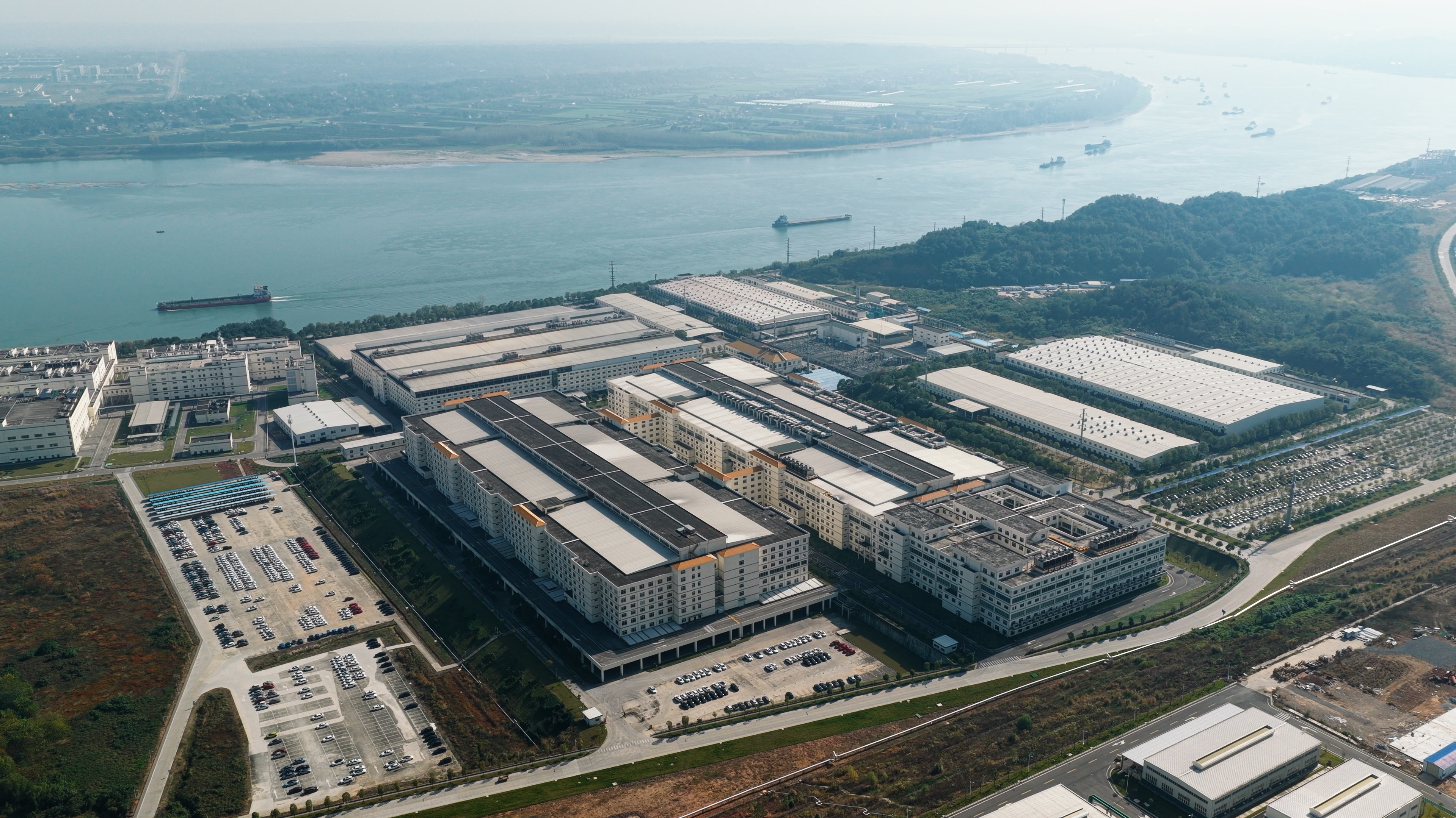 东阳光之冬虫夏草:科技解锁本草密码 匠心点亮健康生活