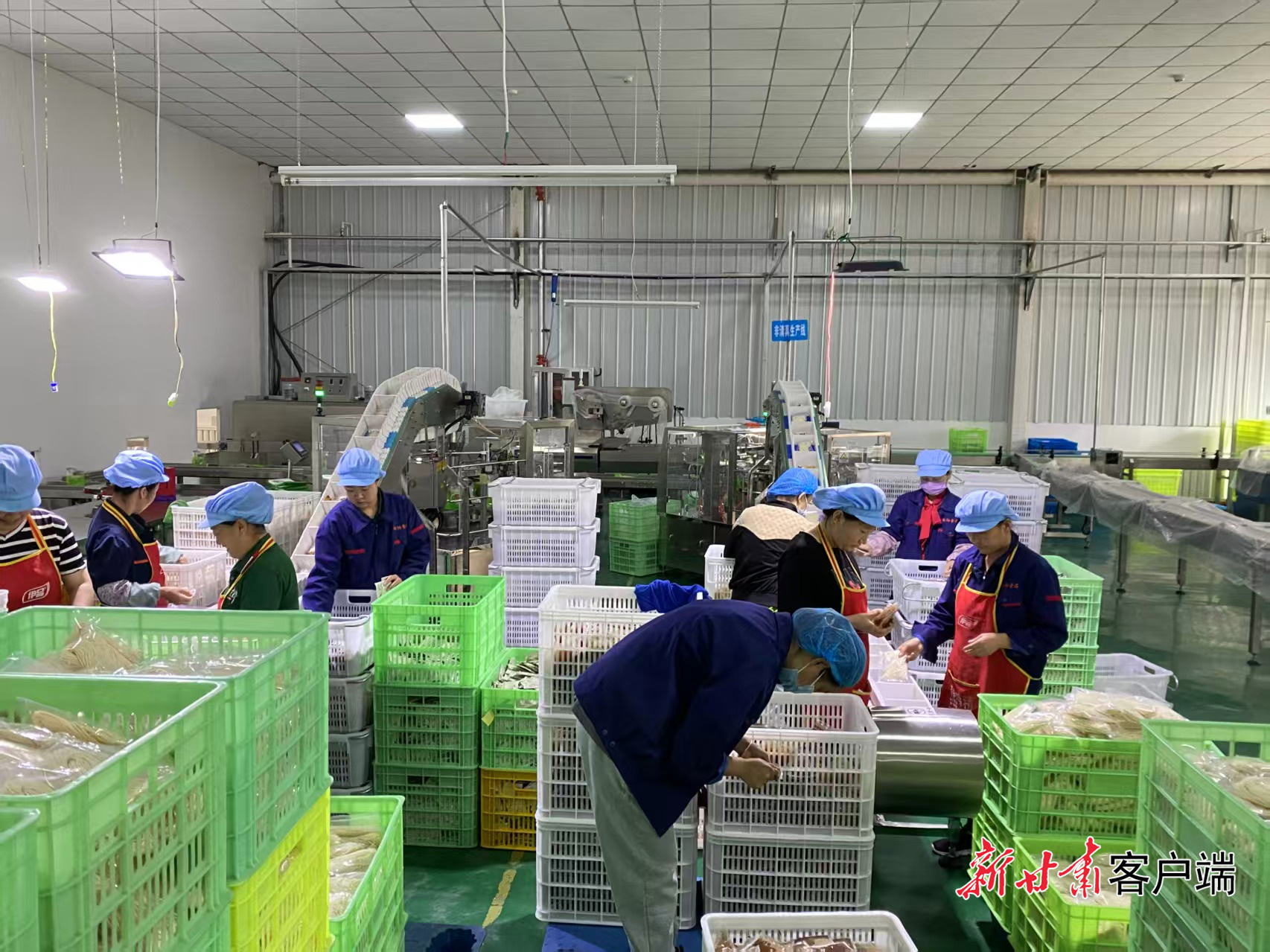 兰州向阳食品有限公司生产车间　兰州海关供图