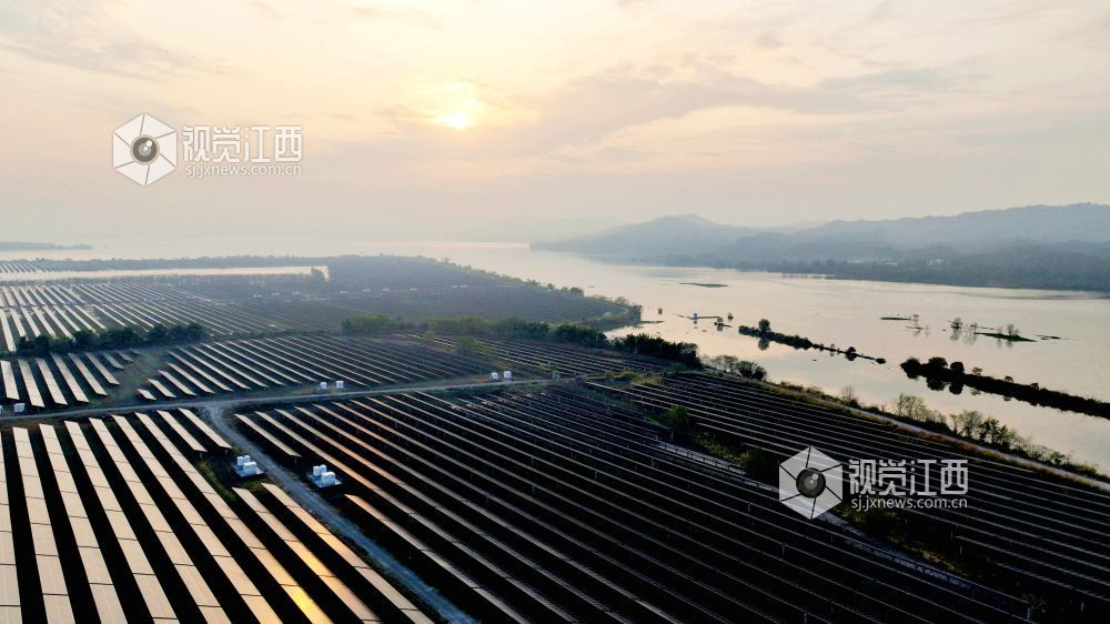 光伏板在清晨霞光下熠熠生辉,犹如一首美丽和谐的“渔光曲”。