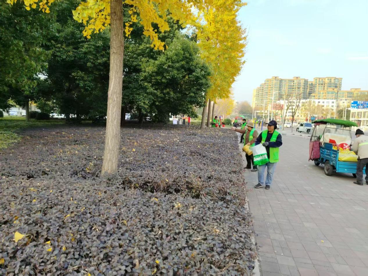 园林工人按苗木类型开展施肥作业 郭彩鸽 摄