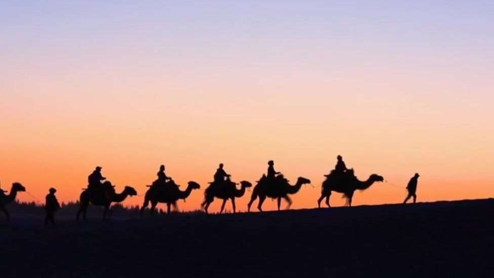 甘肃启动建设两家“一带一路”联合实验室