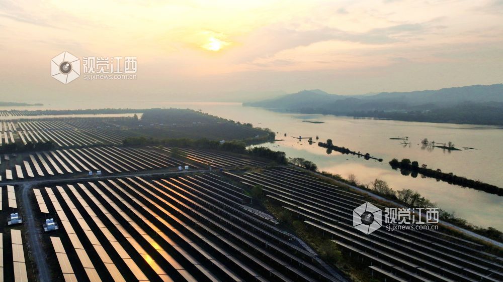 光伏板在清晨霞光下熠熠生辉,犹如一首美丽和谐的“渔光曲”。