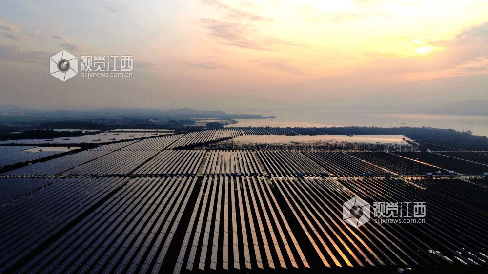 光伏板在清晨霞光下熠熠生辉,犹如一首美丽和谐的“渔光曲”。