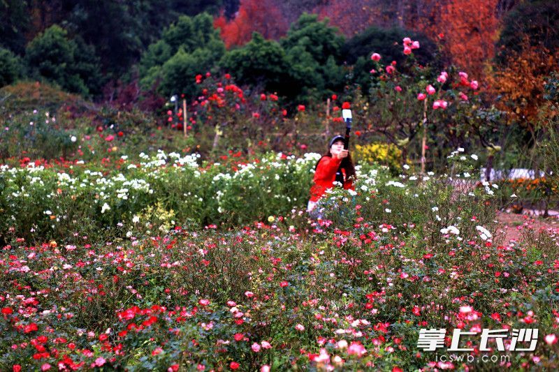 一位市民在打卡。
