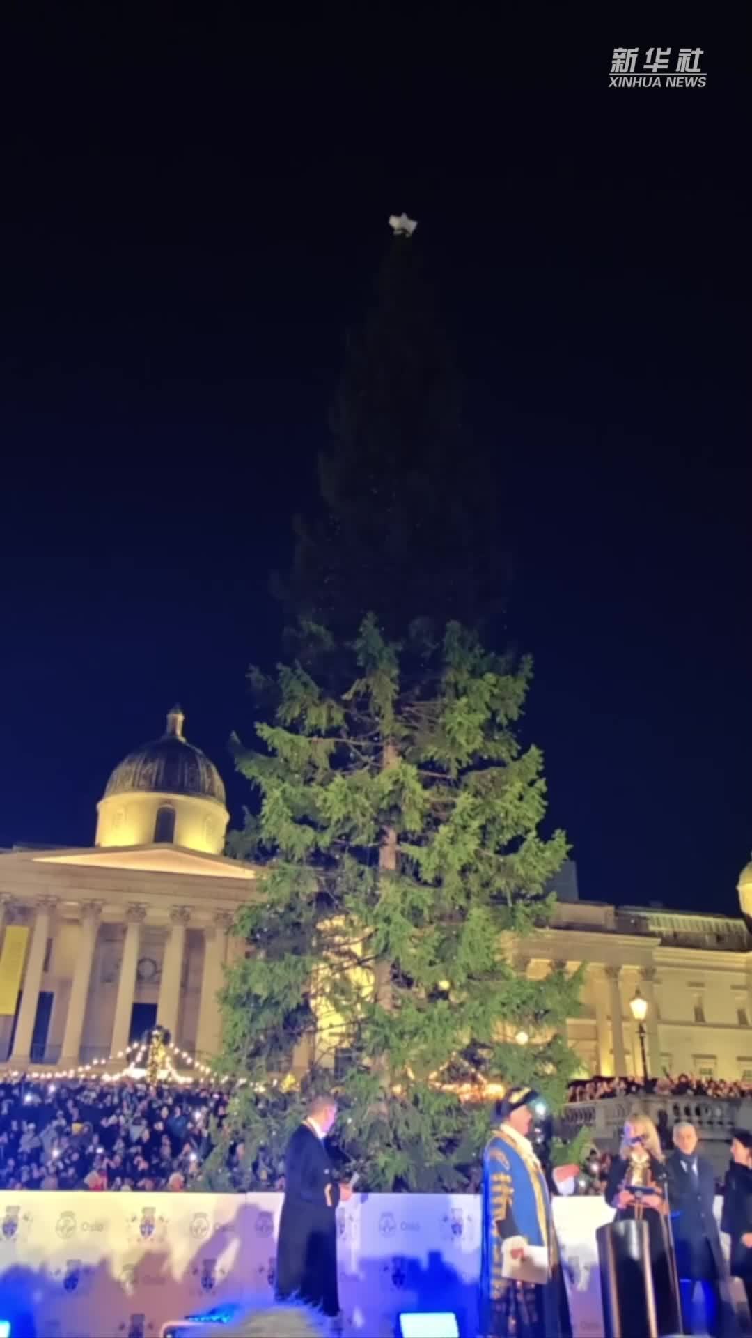 挪威圣诞树点亮伦敦特拉法加广场