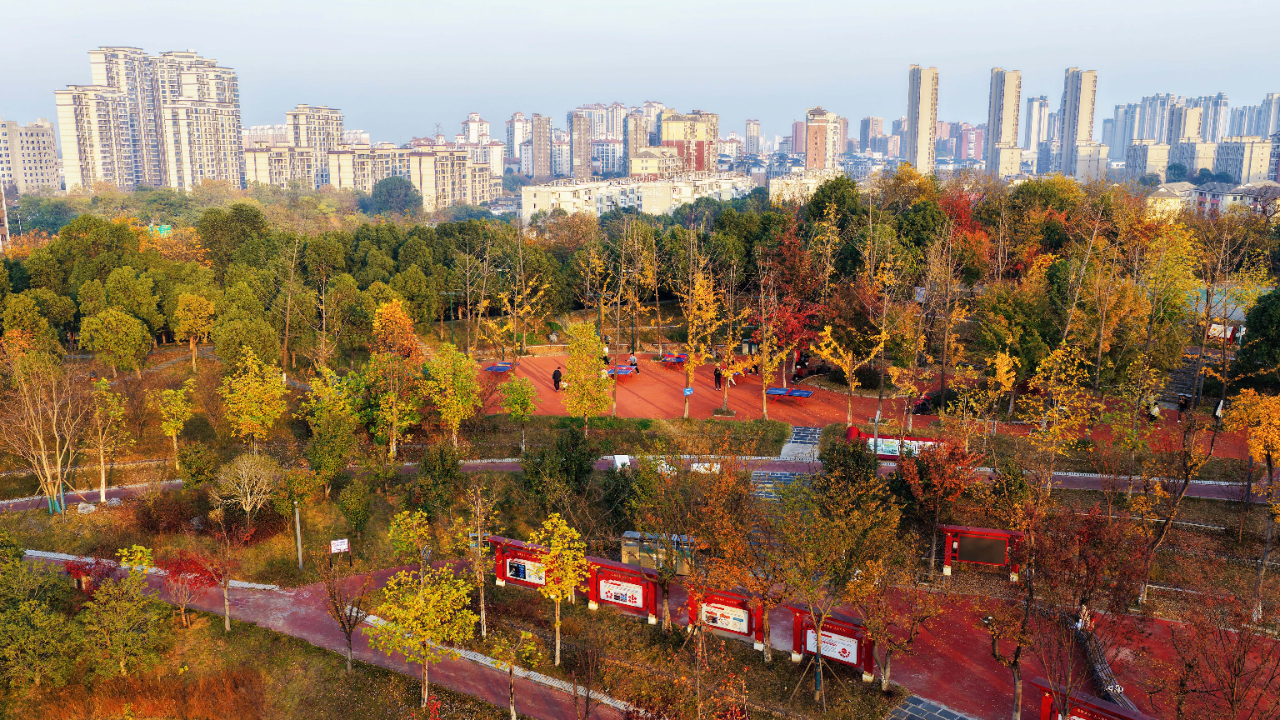 九江：冬日画卷 活力绿洲（图）