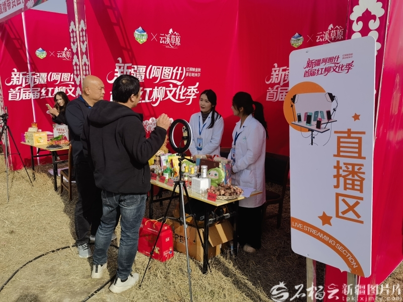 2025年10月25日，新疆阿图什首届红柳文化季上，工作人员在直播。石榴云/新疆日报记者 陈疆林摄