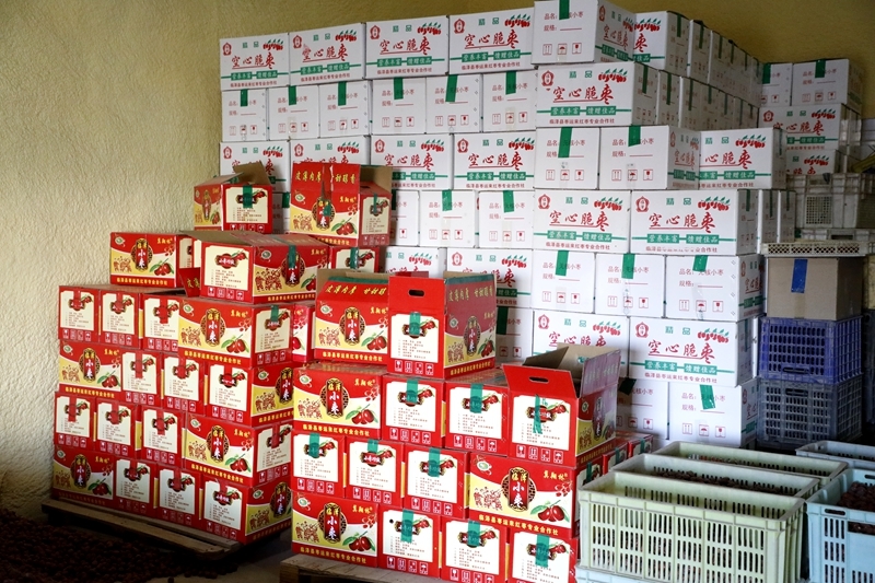 农产品精深加工走俏全国 甘肃临泽“钱”景无限