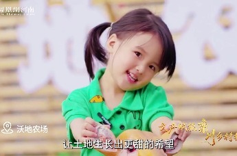 栾川：青山藏文脉，产业兴乡村