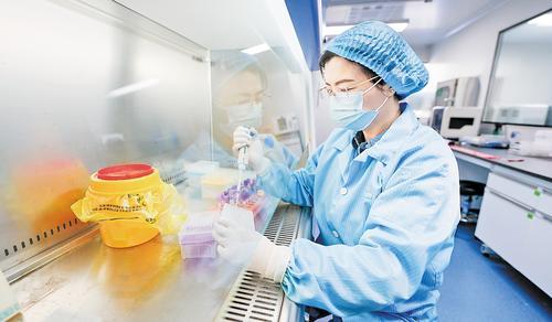 11月21日，在雄安妙心生物科技有限公司基因检测实验室内，河北工程大学医学院检验系教授王珍在进行病原微生物核酸提取工作。 本组图片由本报见习记者李畅摄