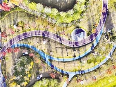 “自然+文创+商业”!南昌的季节“颜值”吸引款待八方来客