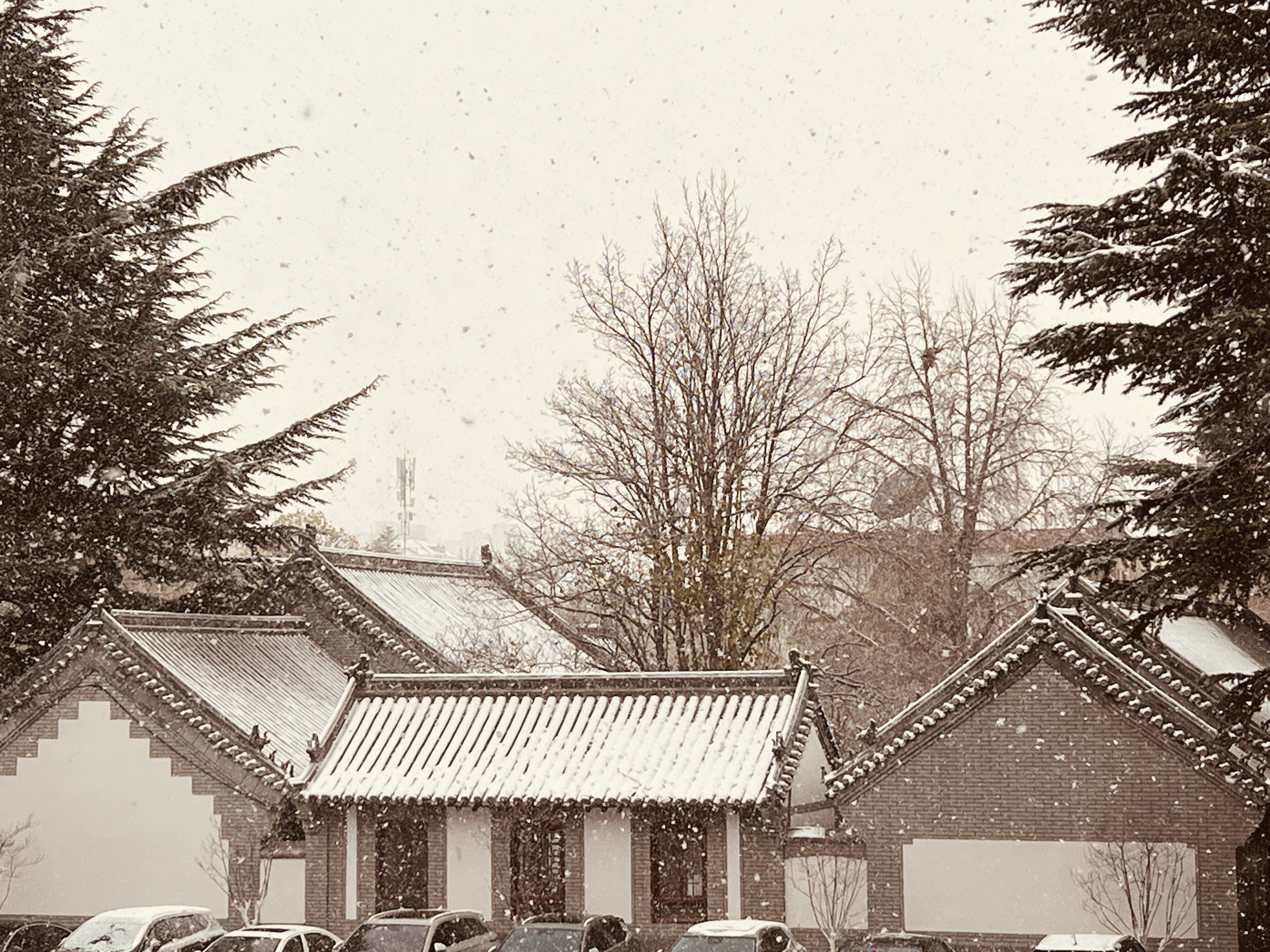 山东昨日最大降雪出现在烟台福山