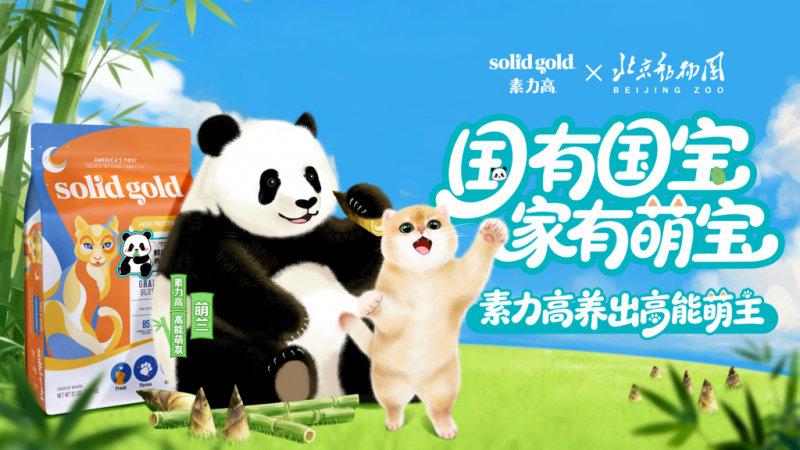 点击查看原始图片