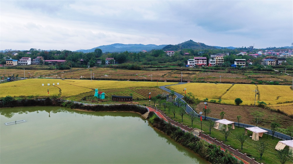 谷洲镇廖桥村的研学基地。邵阳日报记者颜靖轩 摄