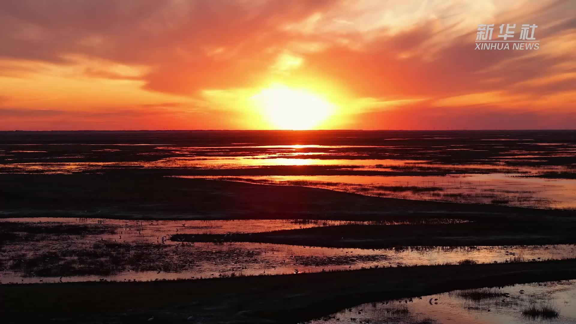 千城胜景｜吉林镇赉：莫莫格湿地的候鸟欢歌
