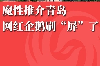 魔性推介青岛 网红企鹅刷“屏”了