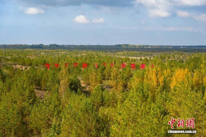图为榆林市榆阳区境内沙地治理情况。 榆林市林业和草原局供图