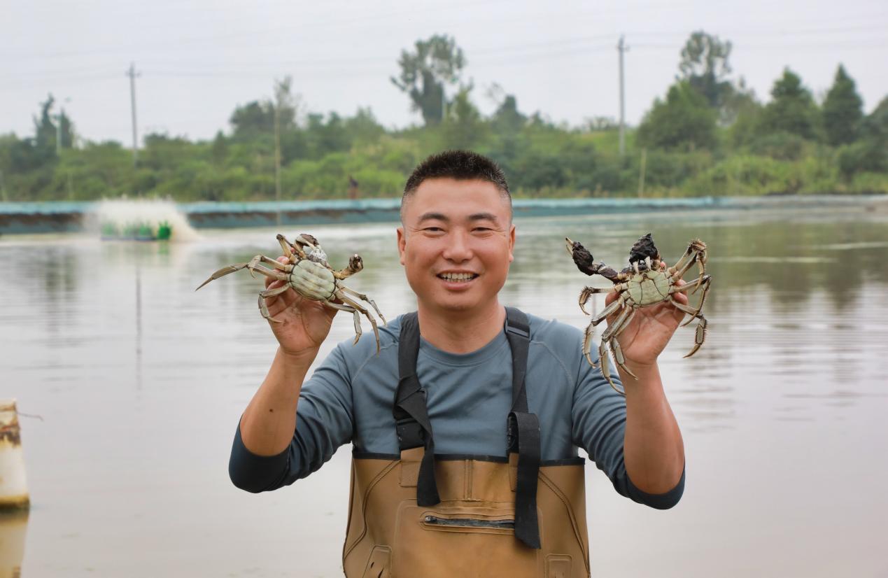 彭泽县马当镇船形村螃蟹殖户展示捕捞的螃蟹(彭琴 摄)