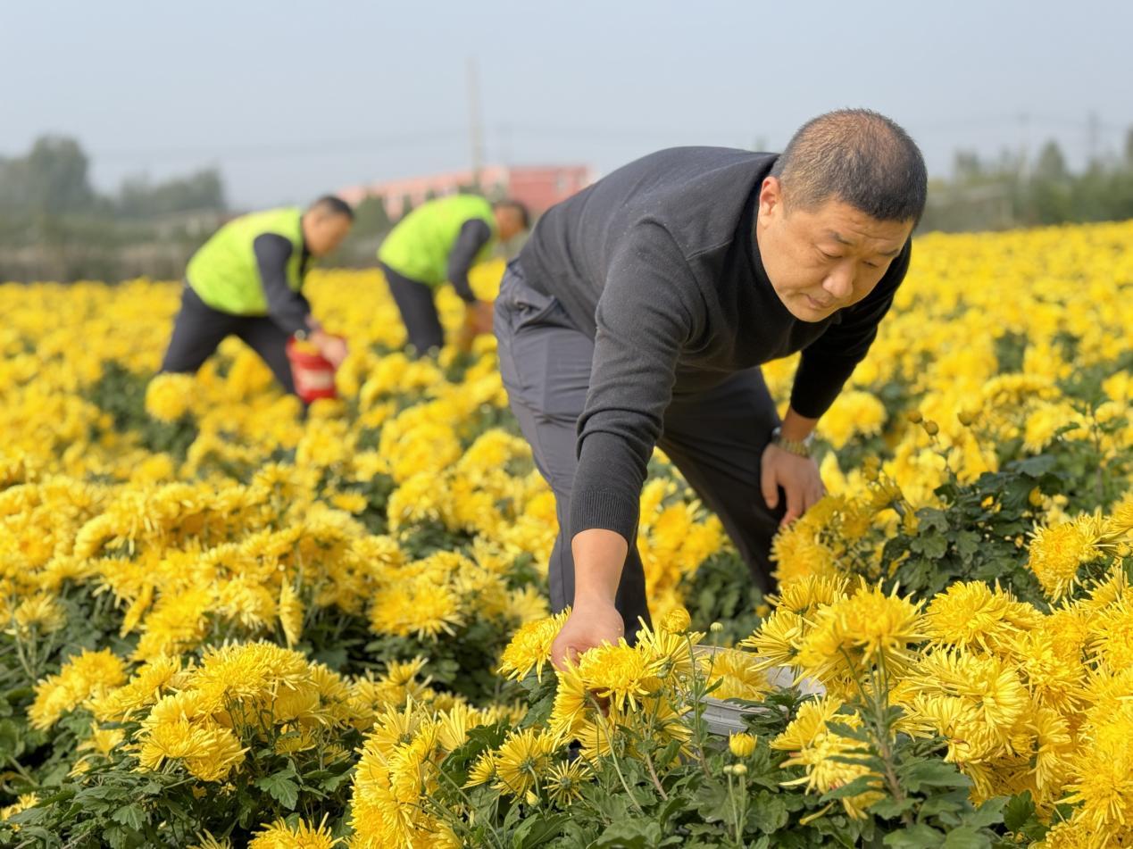 邹城市峄山镇崇军工作的一线调查