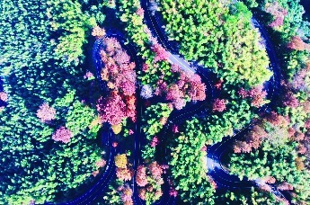 初冬九华山：一副流动的水彩画