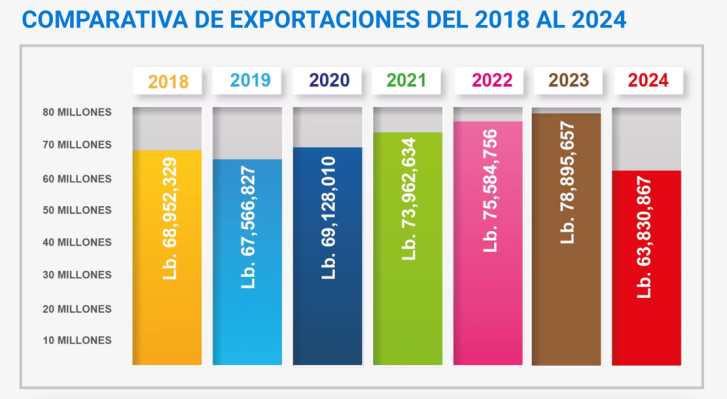 ▎2018年-2024年洪都拉斯水产品出口额(以英镑计)(图源:洪都拉斯国家水产品协会)