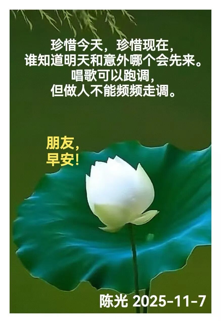 早安心语丨知世故而不世故，爱人爱己，豁达乐观！