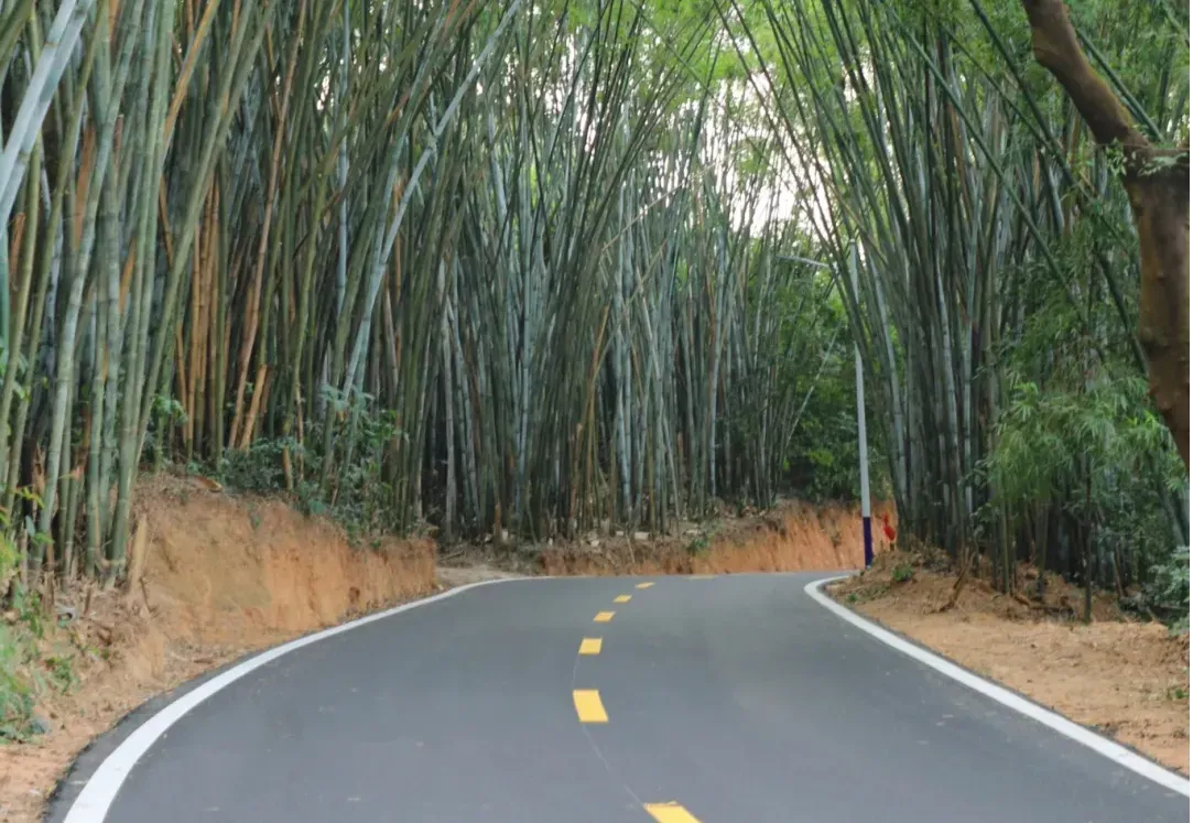 中山五桂山街道专项督导“百千万工程” 直击短板靶向整改