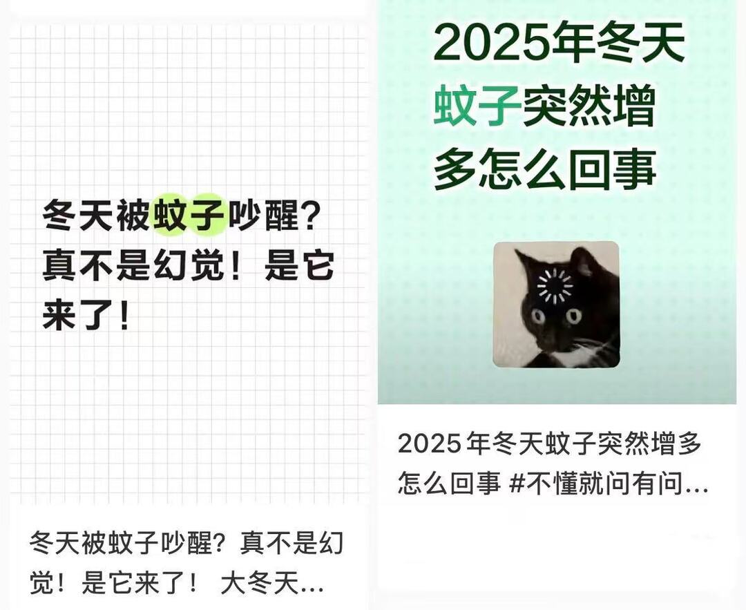 “超级蚊子”入侵？江西“冬蚊”藏身何处？江西疾控回应