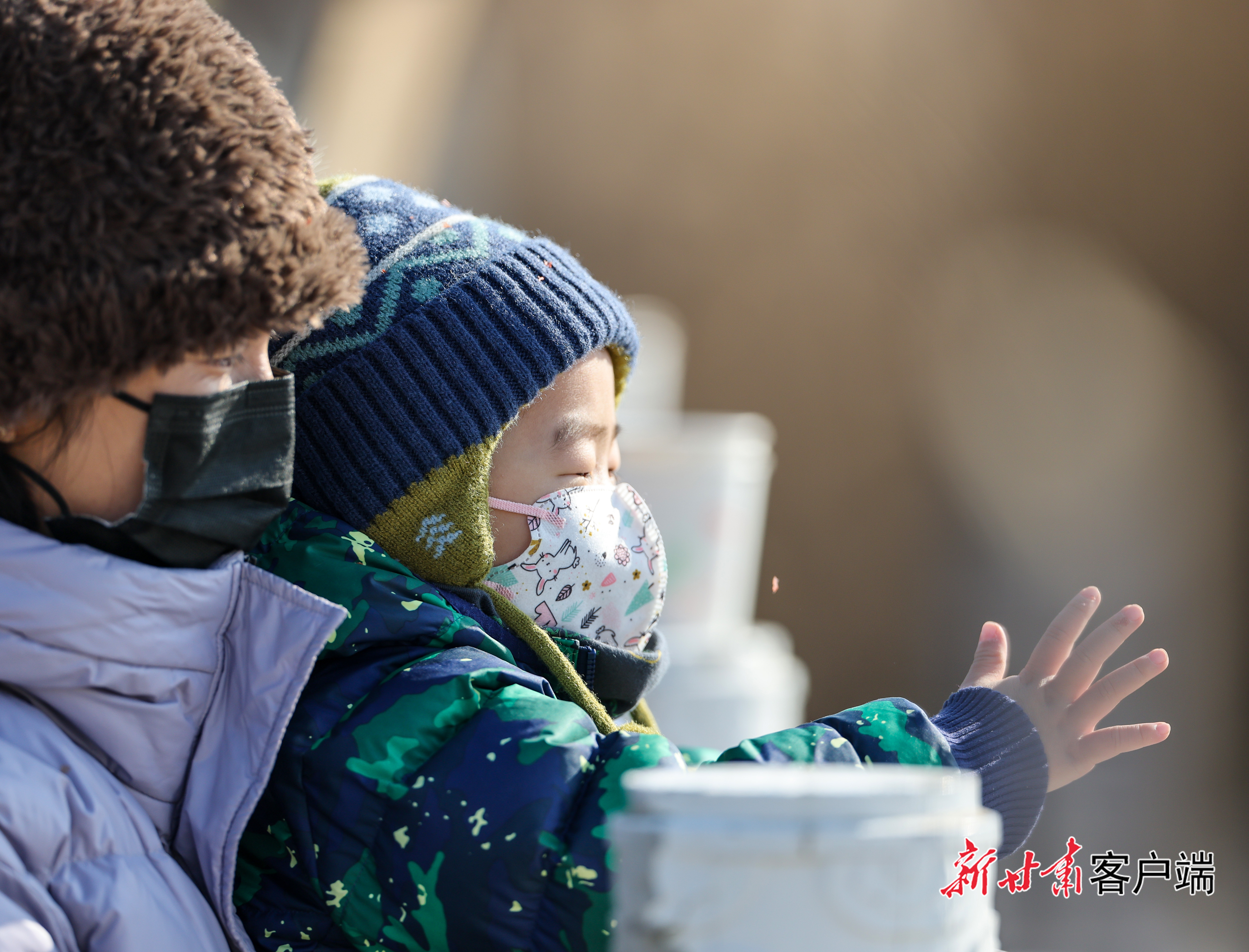 天鹅组团来兰过冬