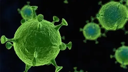 科学防治流感：关注耐药现象，重视中西医协同