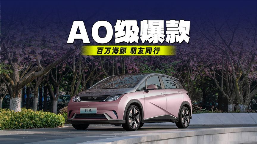 百万海豚 萌友同行 A0级爆款背后的产品密码