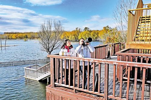 11月18日，怀来县林草局工作人员在观察候鸟。