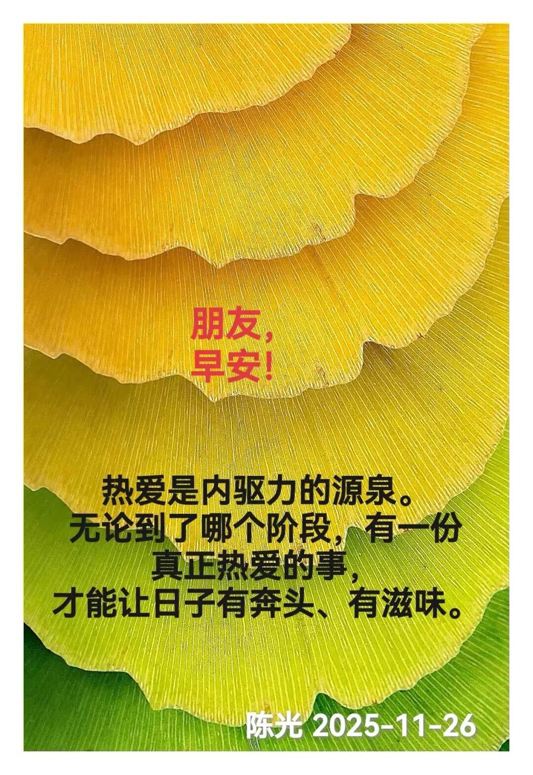 早安心语丨知世故而不世故，爱人爱己，豁达乐观！