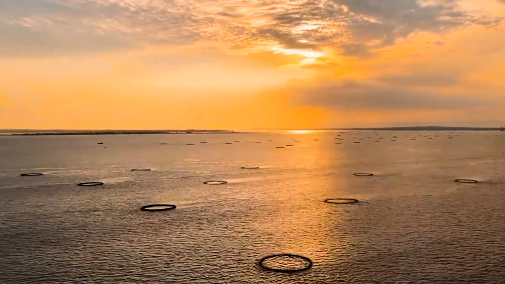 夕阳余晖下，深水网箱在湛江的海面上有序排列