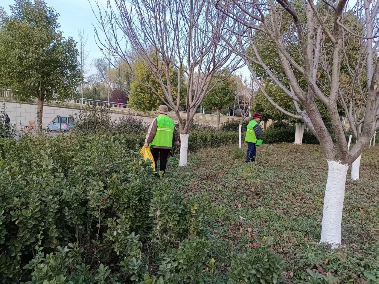 园林工人正在樱花园集中施肥 郭彩鸽 摄
